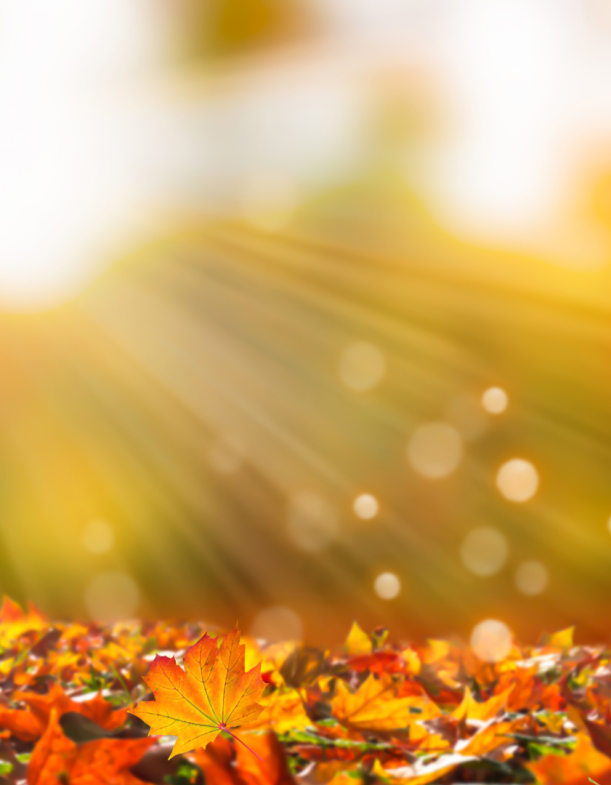 Orange and White Autumn Sale Instagram Post (5) Orange and White Autumn Sale Instagram Post (5)
