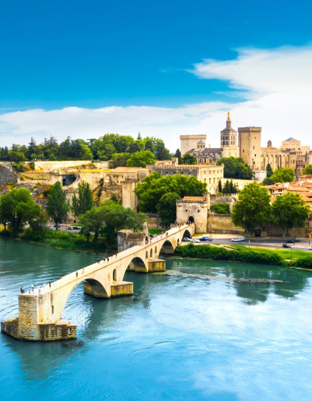 Saint Benezet bridge in Avignon in a beautiful summer day